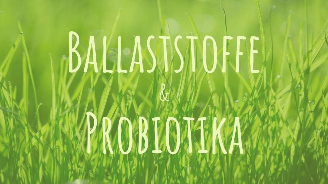 Ballaststoffe & Probiotika